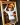 <i>Sebastian Laatsch<br />
Parit�tischer Wohlfahrtsverband LV NRW e. V.</i>